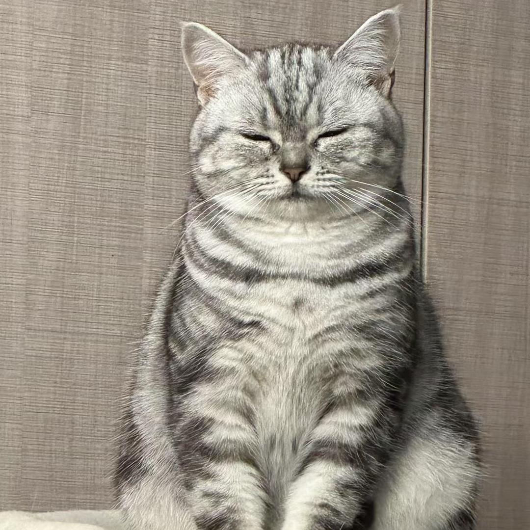 生