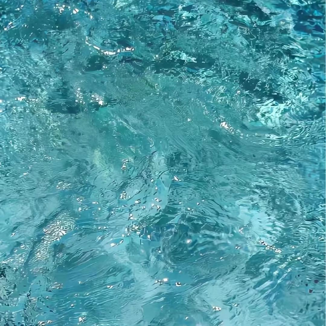 放飞自我