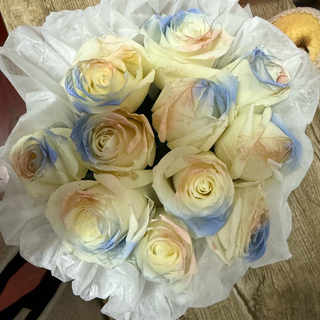 花果山在逃母猴🐒