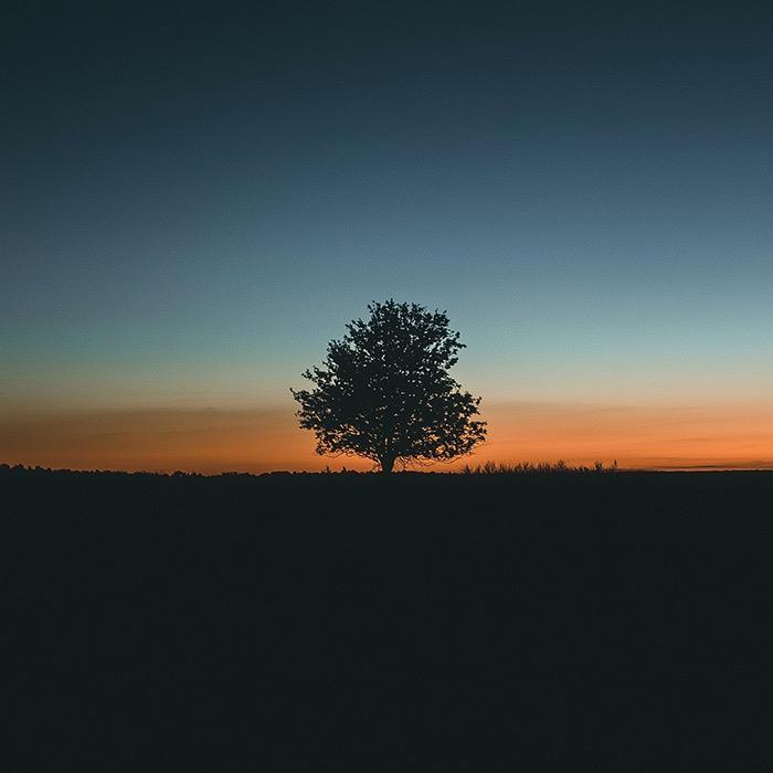 (๑⁼̴̀д⁼̴́๑)