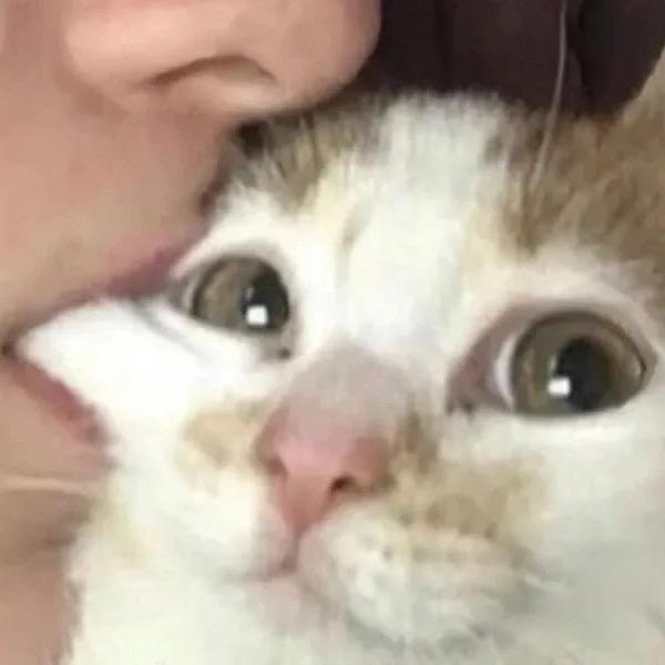 小羊呼吸