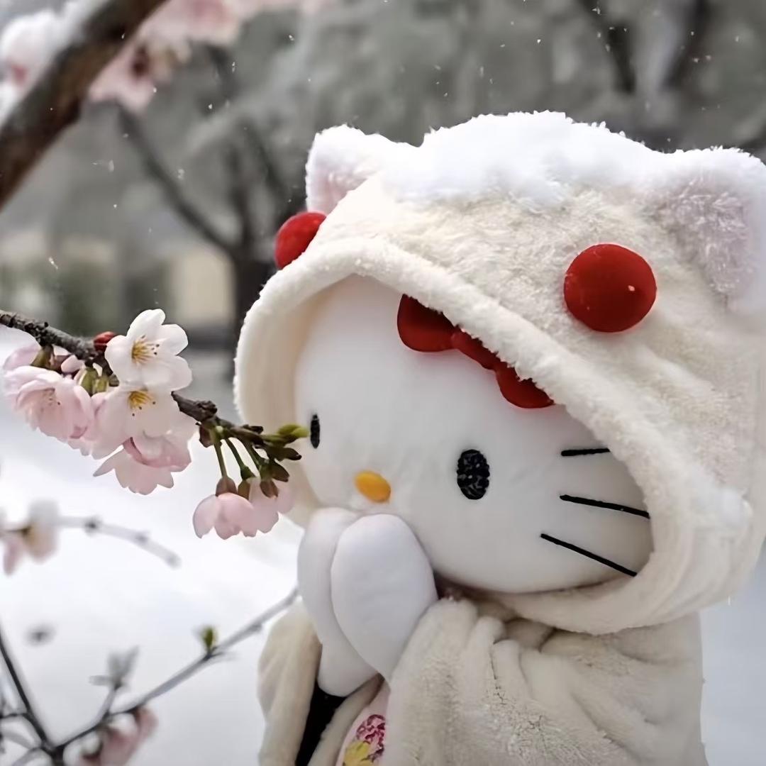 慧儿姑娘
