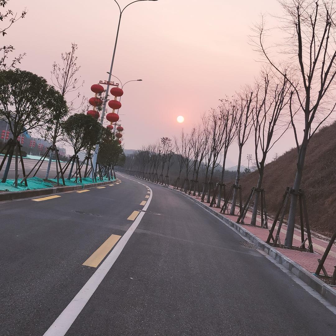 我是一棵小白菜
