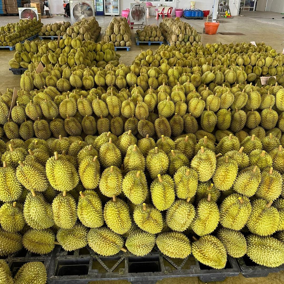 蒸渡水果企业店