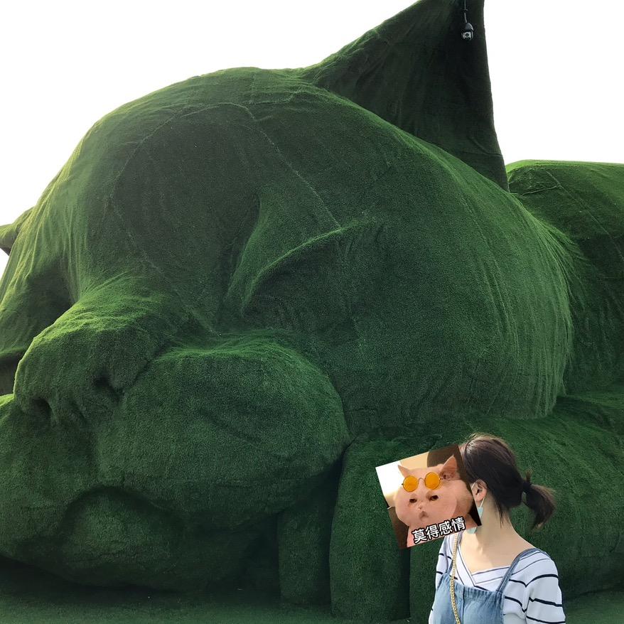 社恐小美