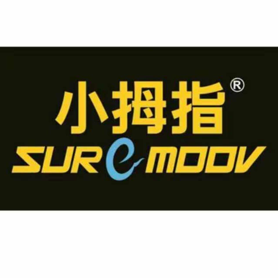 化州市小母指汽车美容中心