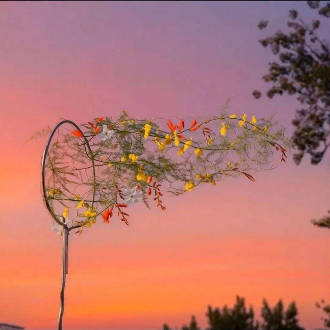 喜阳阳大阿福～苹果小镇店