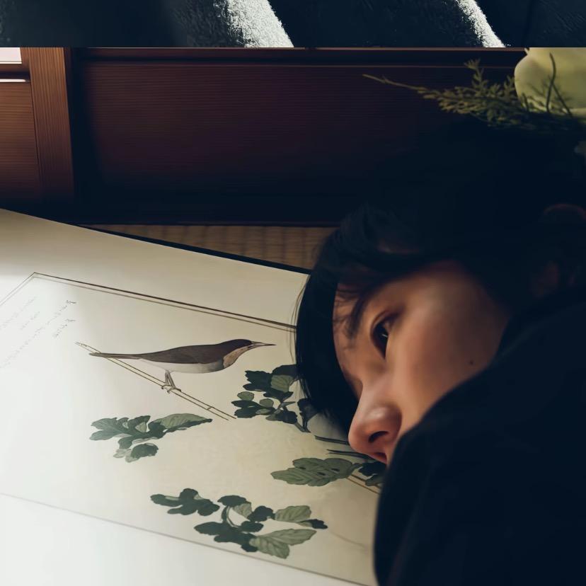 不吃香菜的豆芽