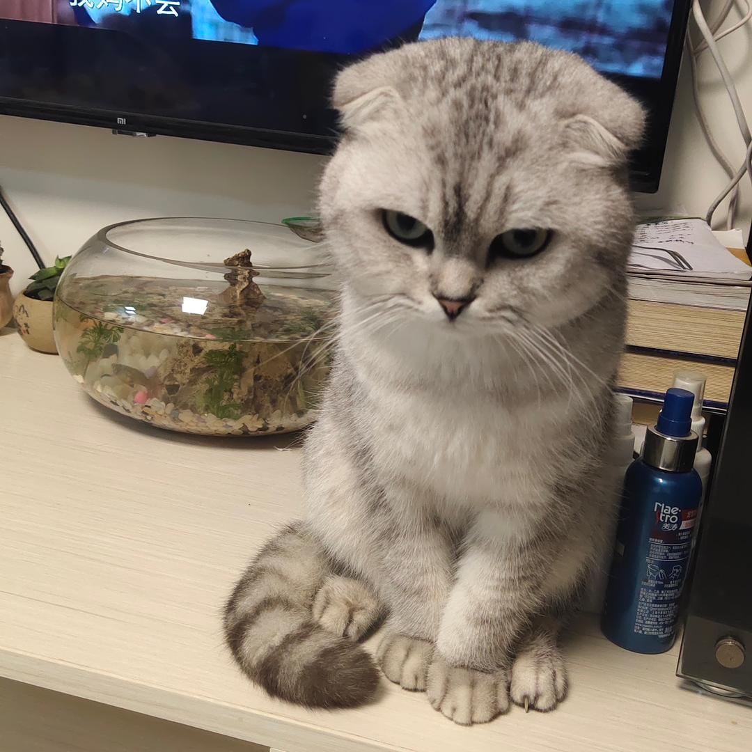 咸泡芙～