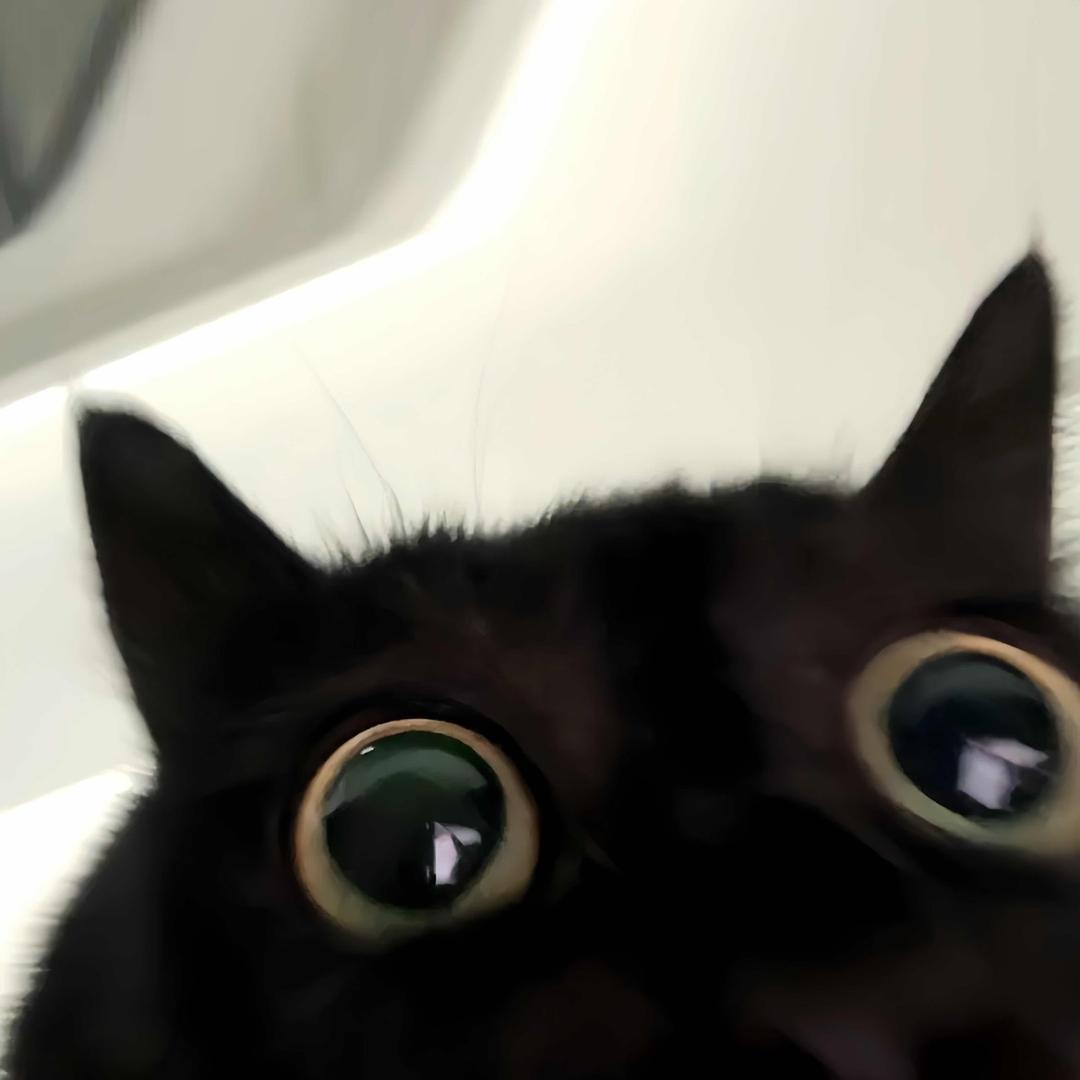 eoi