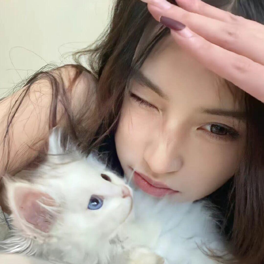 悸.