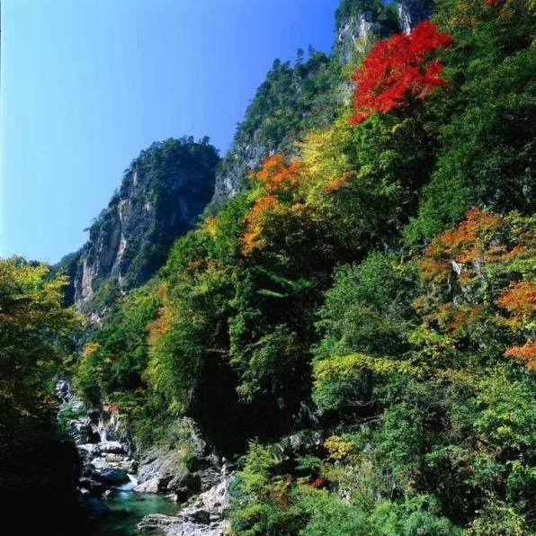 人在江湖