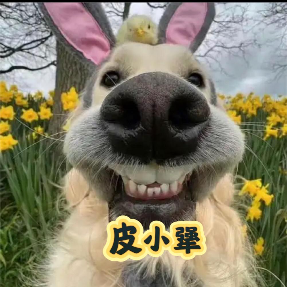 顽皮小犟