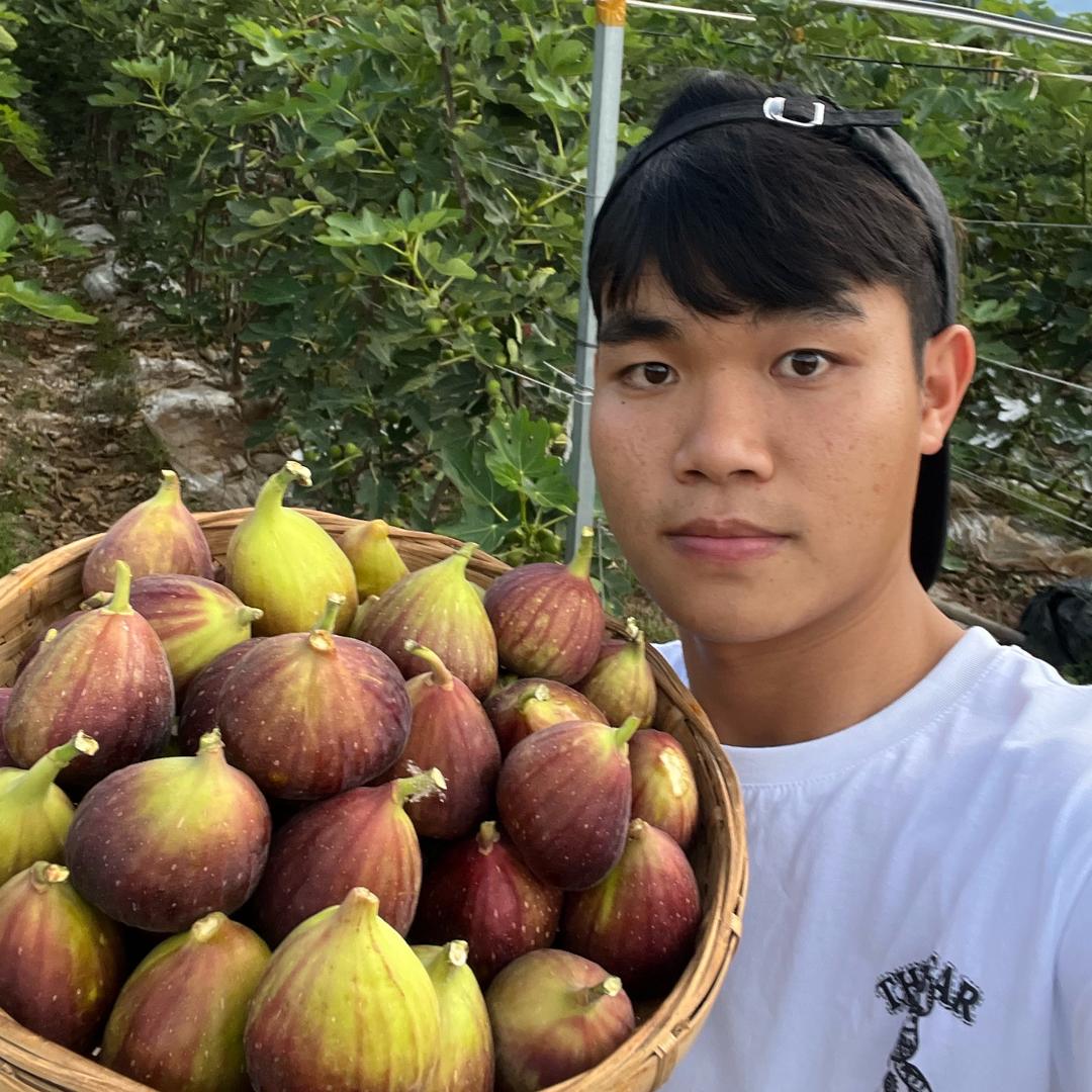 种无花果的～小超