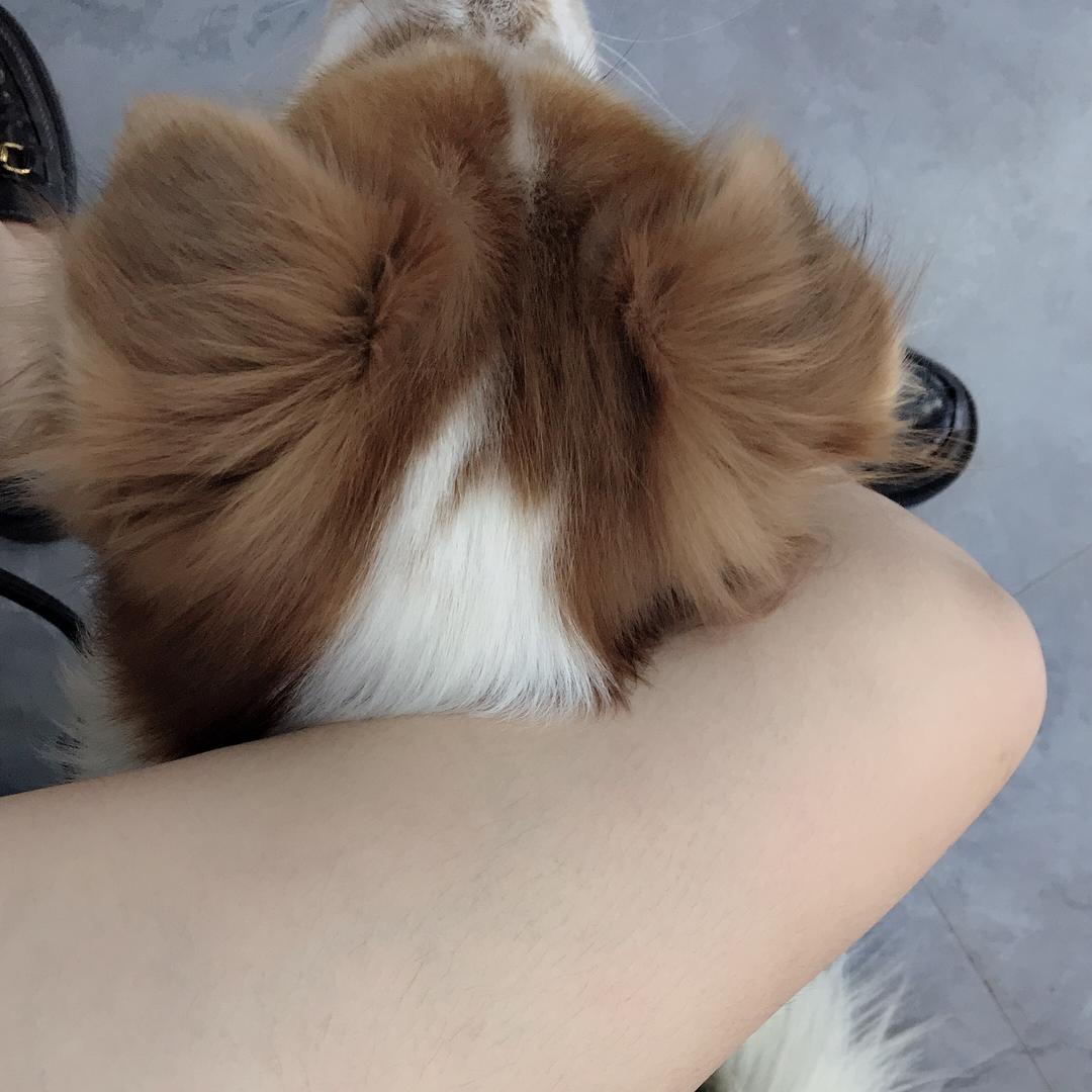 兔子快跑