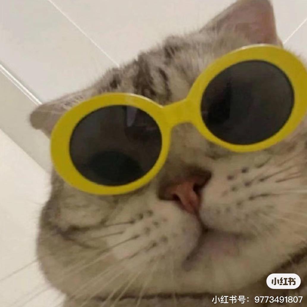 一只崭新的🐔