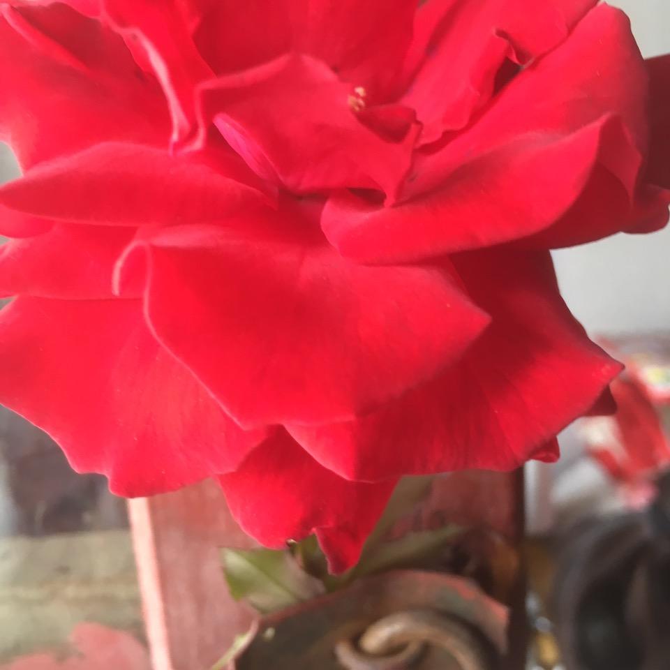 量身定做