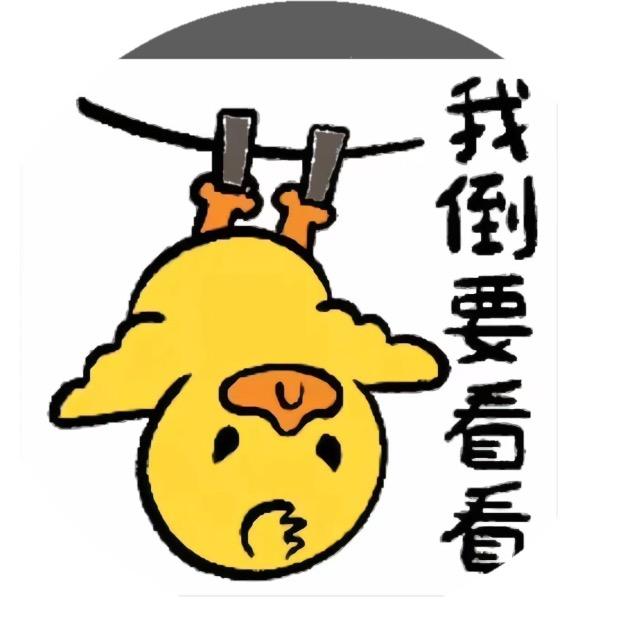 看什么鸭