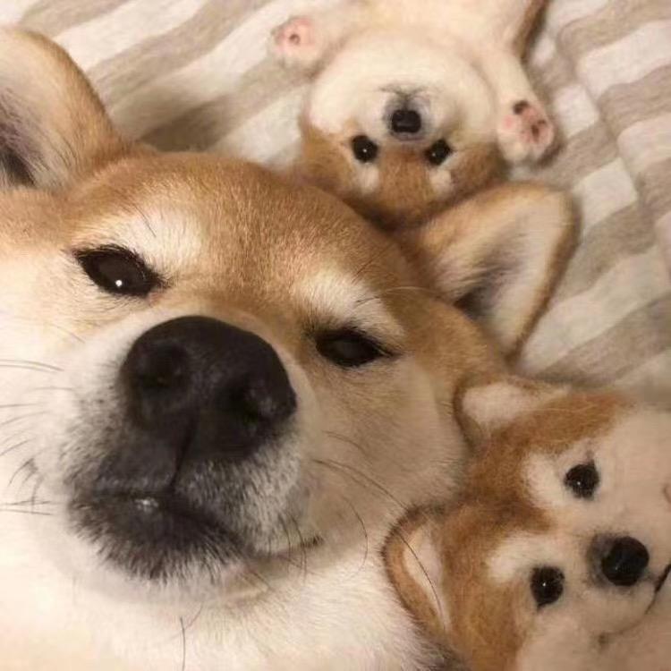 李南北