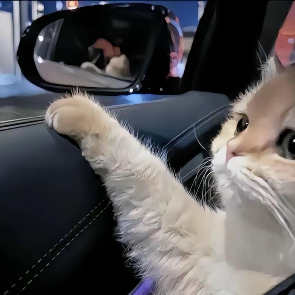 RaNa～yim（日常生活）