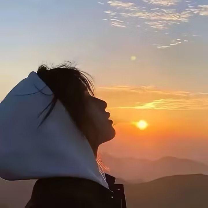 DOG一函