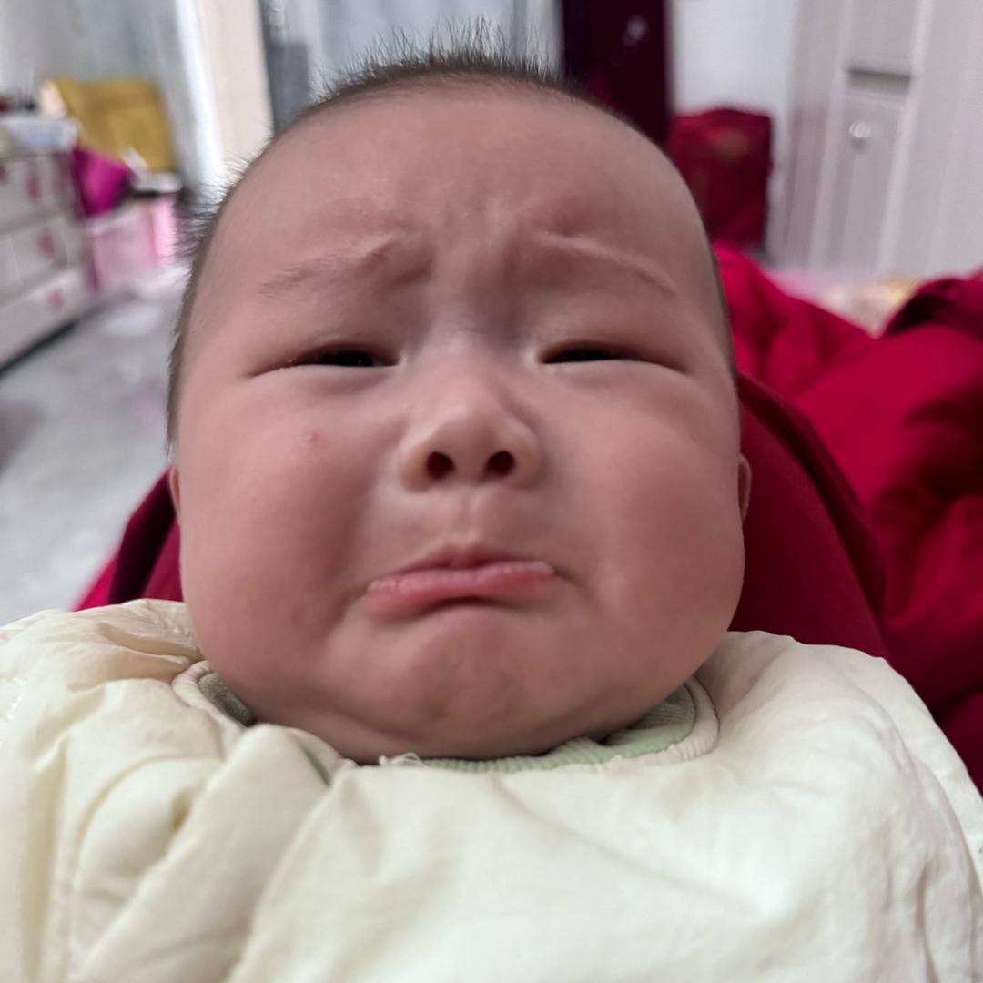 紫蔡包饭
