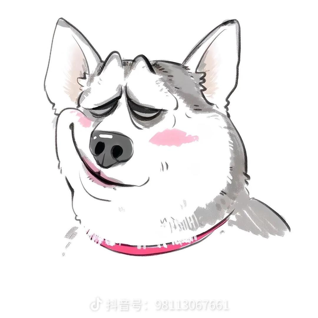 空白（三角洲行动）