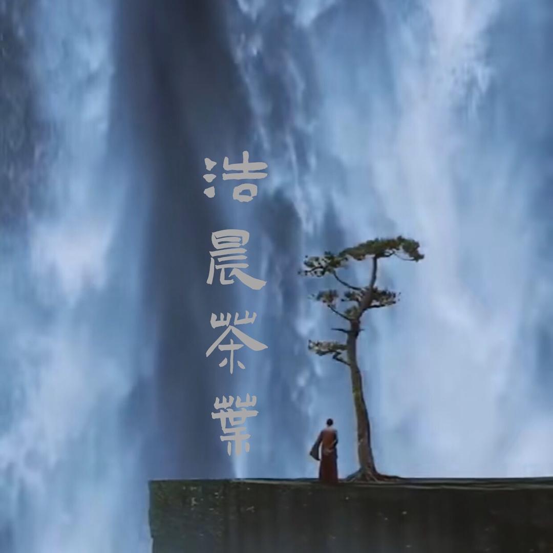 浩晨茶业·冰鸽