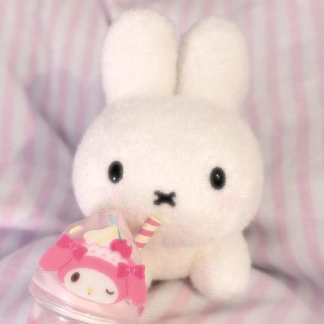 兔子针困