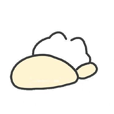 叙寅猫