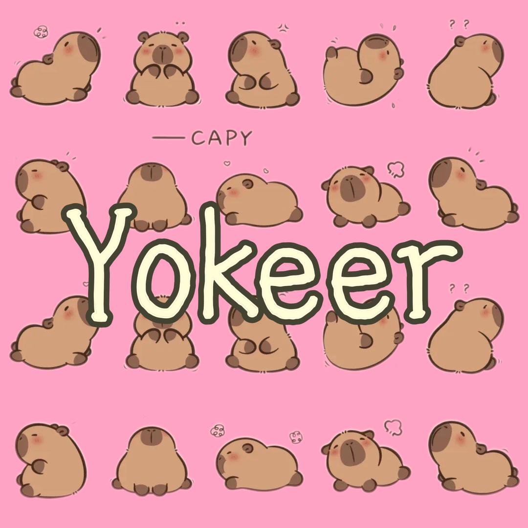 Yokeer（有壳儿）