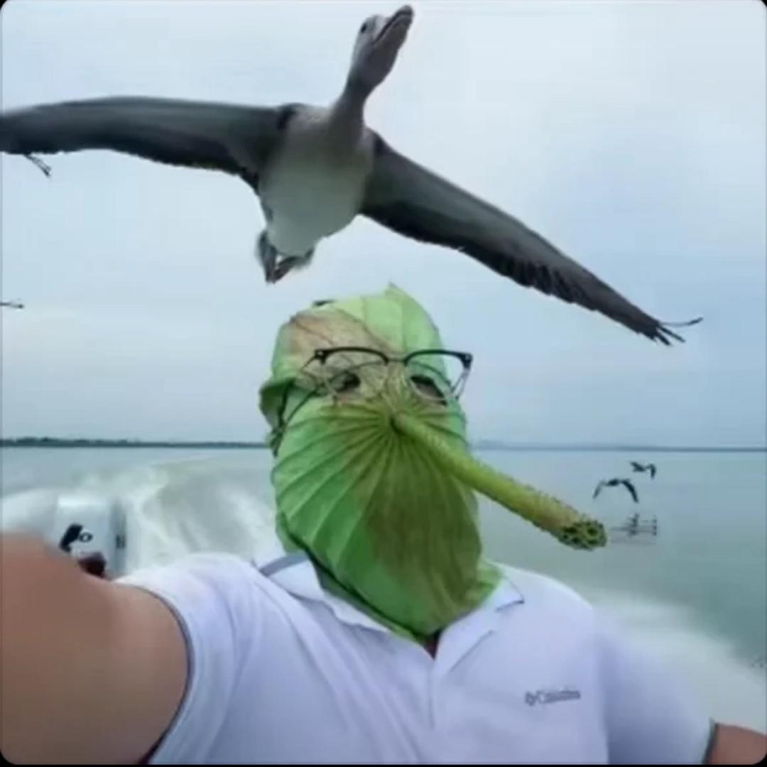 匹诺曹🙇‍♂️