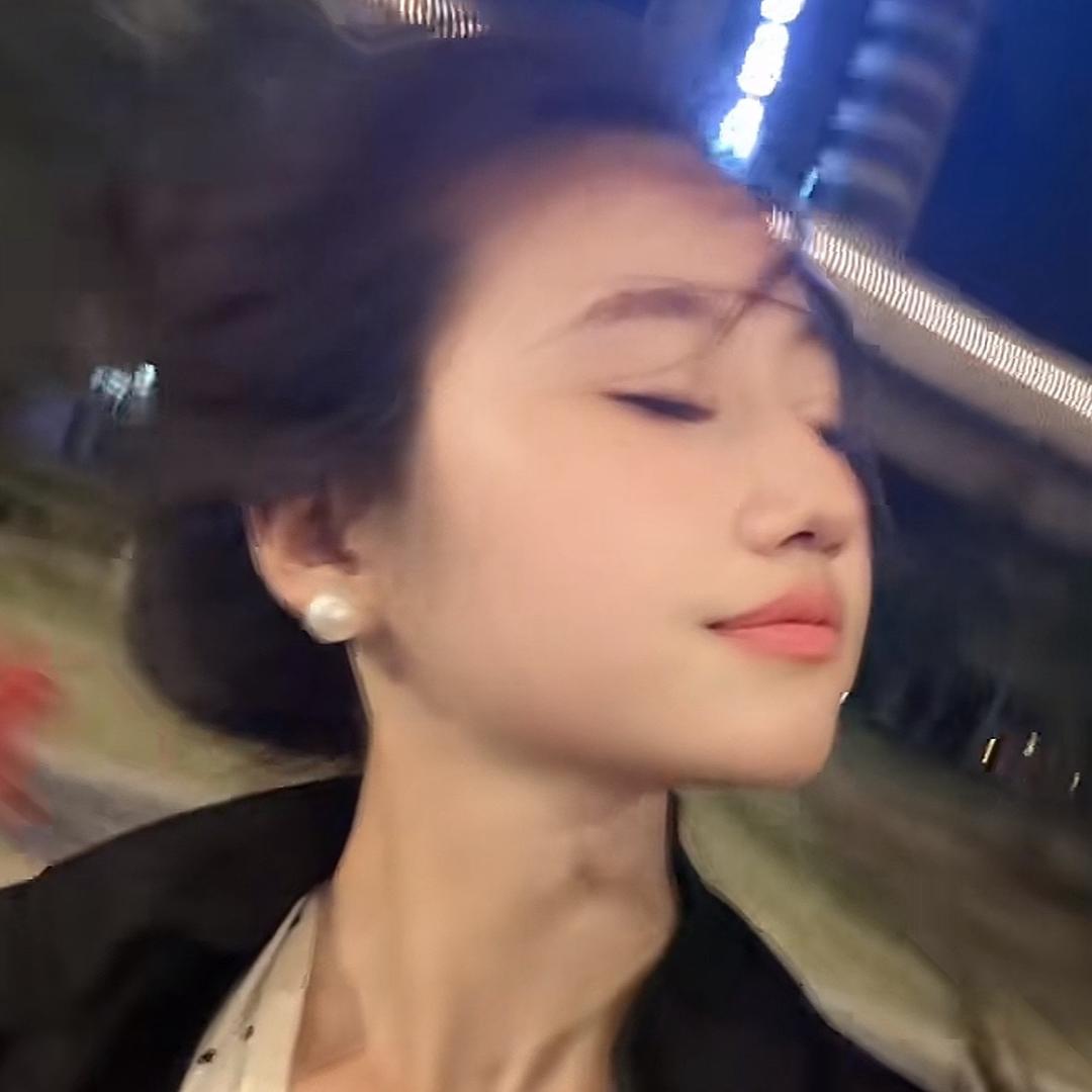 闪闪探襄阳