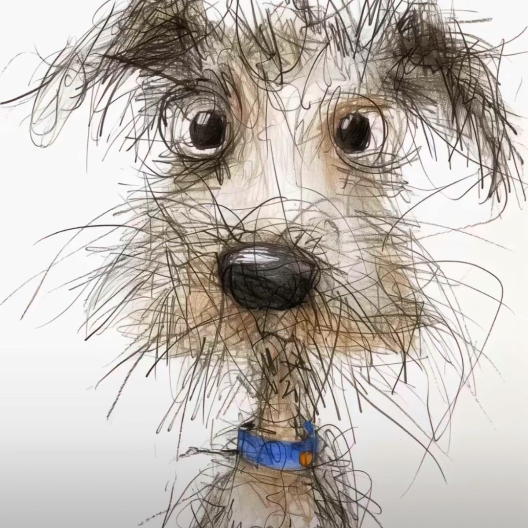 亚洲象⁍̴̛ᴗ⁍̴̛