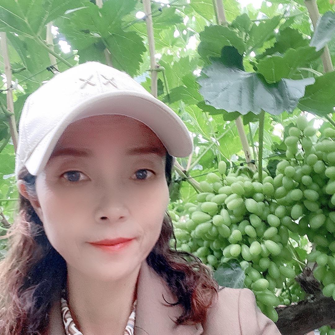 仲英信息咨询服务部