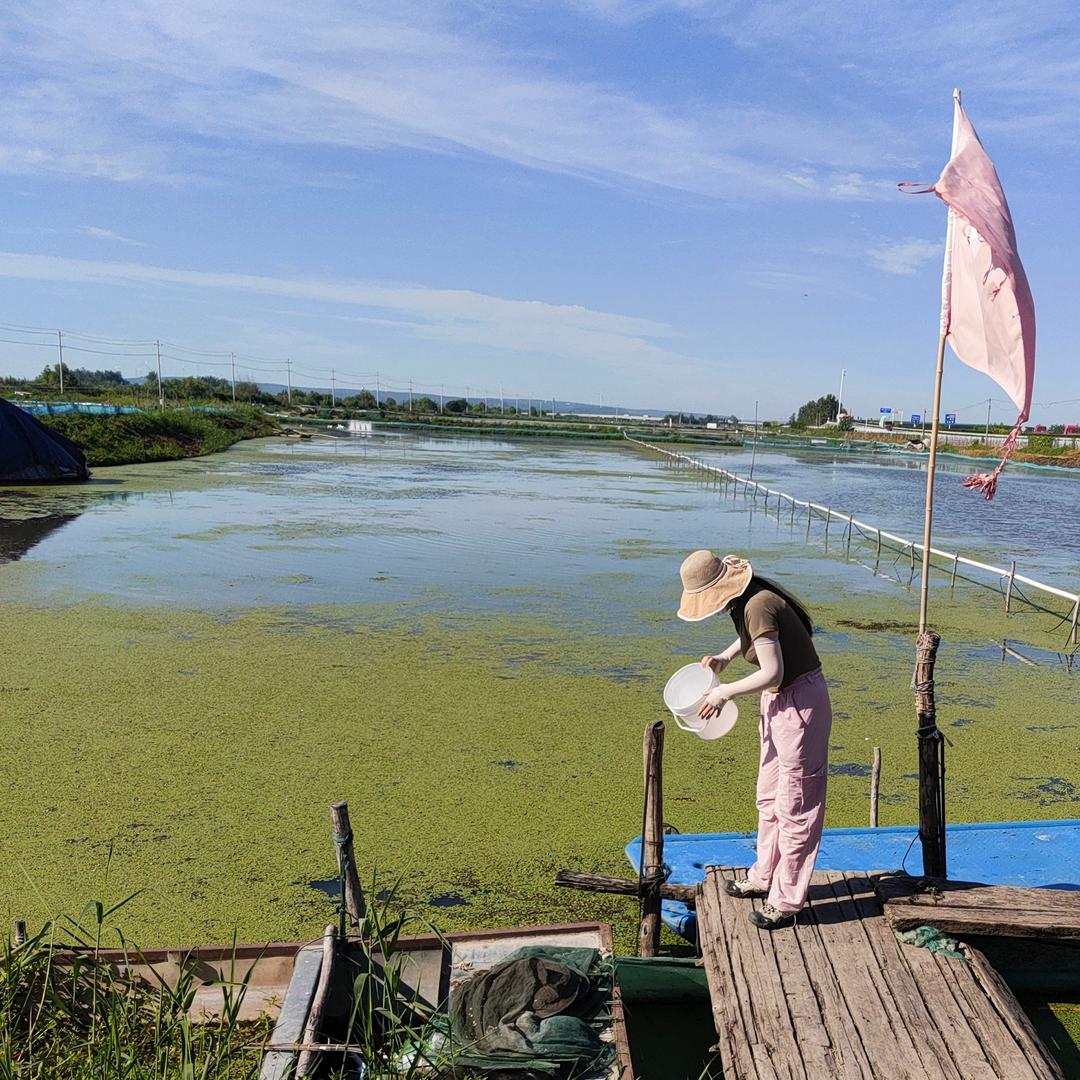 苏蟹蟹大闸蟹助农