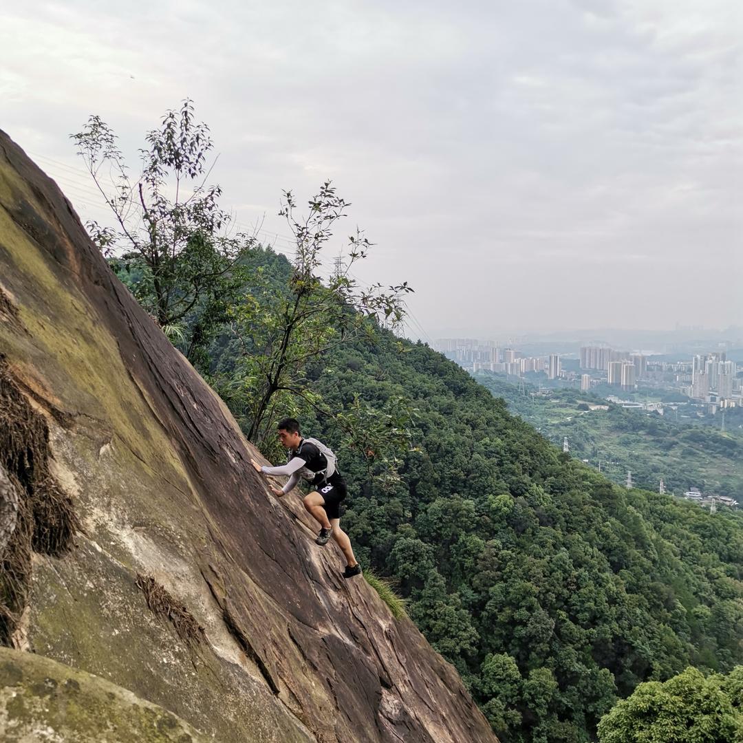 🧗歌乐山上的小强。