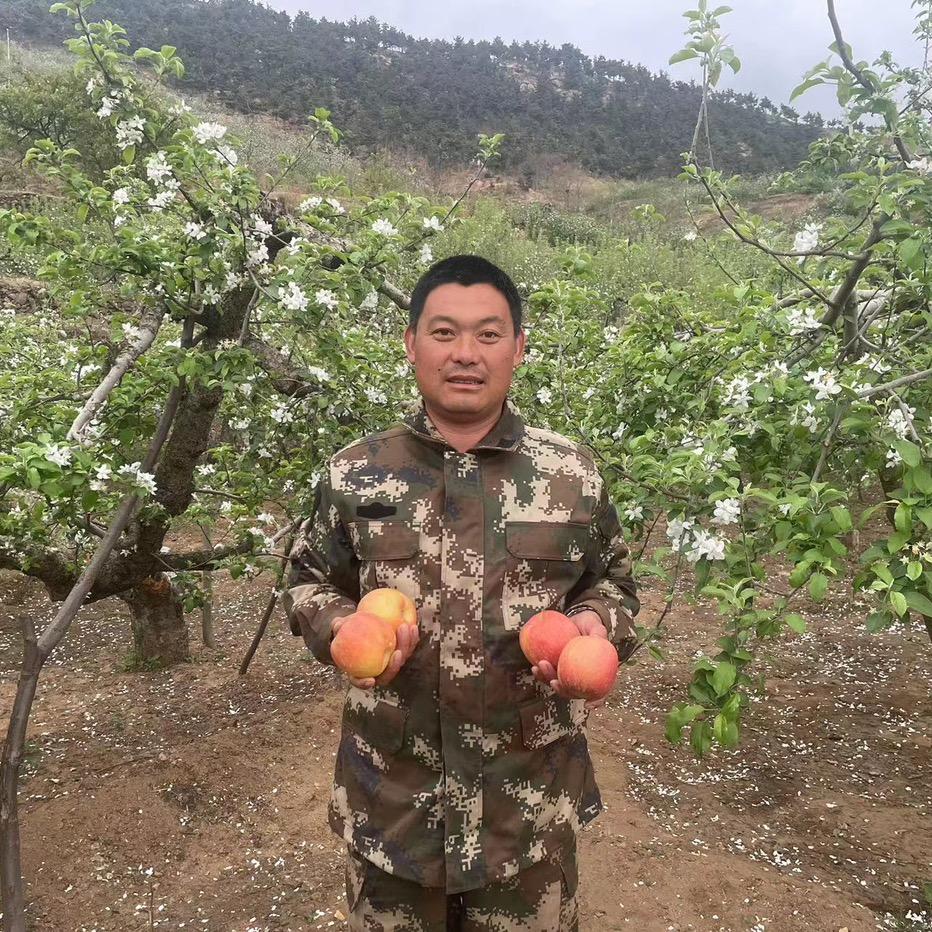 山蒙野毛大农场