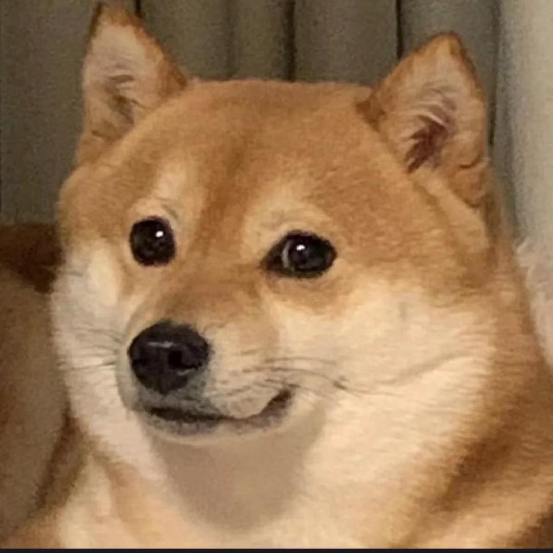 ￴￴ ￴￴ ￴￴ ￴￴ ￴￴ ￴￴ ￴￴