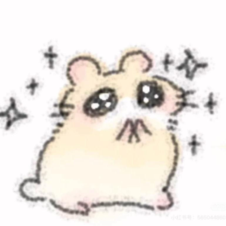 恋昕🐰