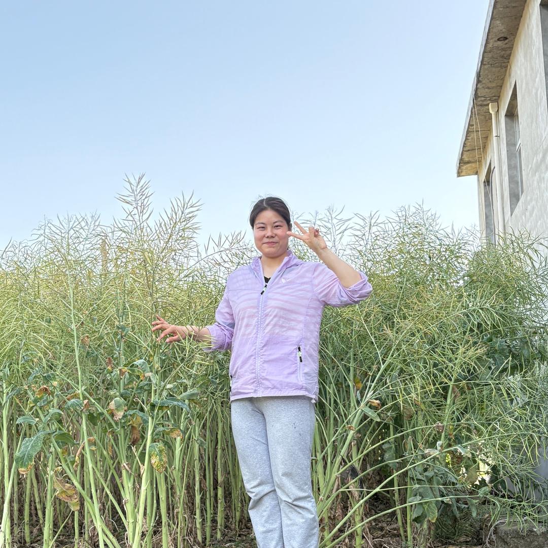 荆楚保康田三