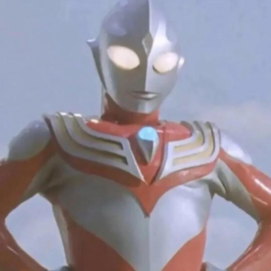 两只烤鸭往北走👀