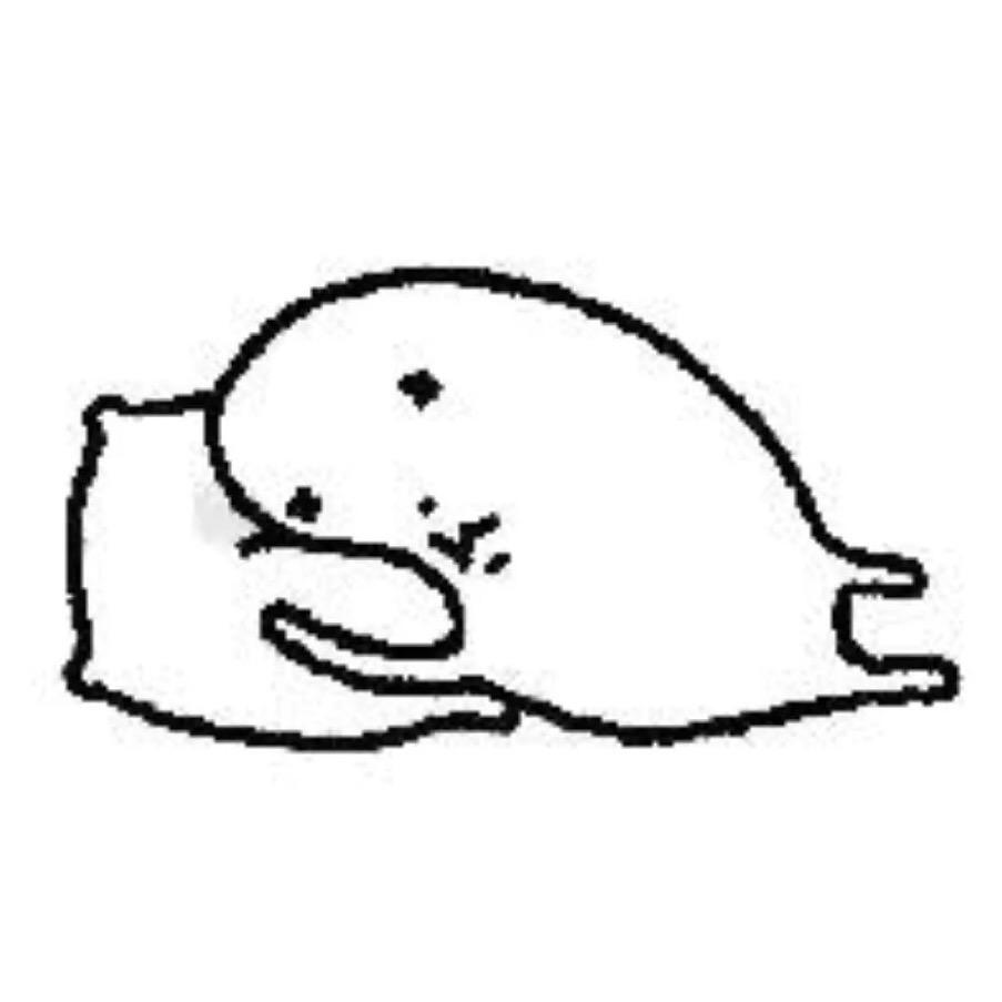 每天都想睡觉💤