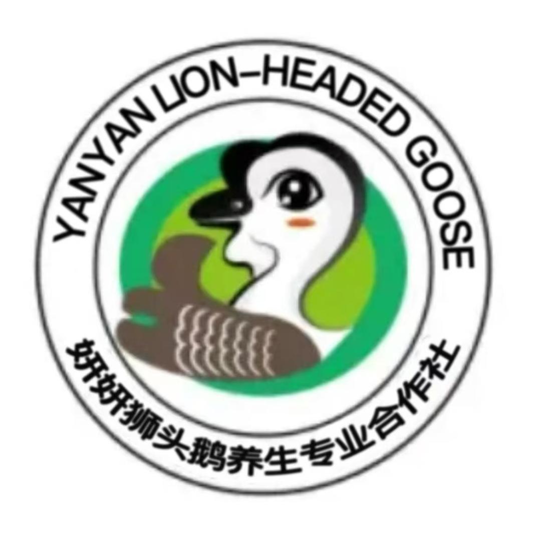 妍妍狮头鹅