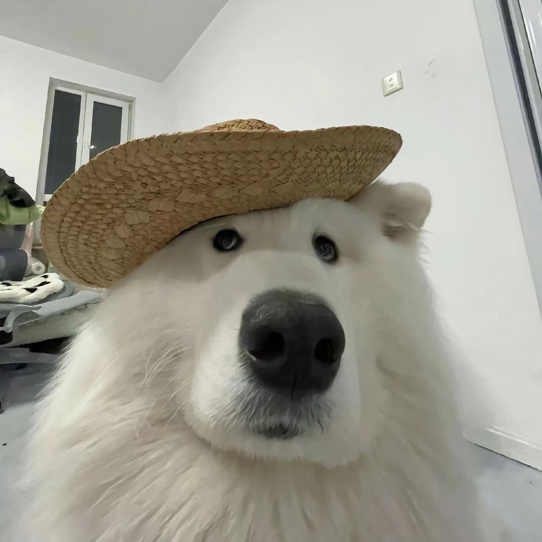 何薇