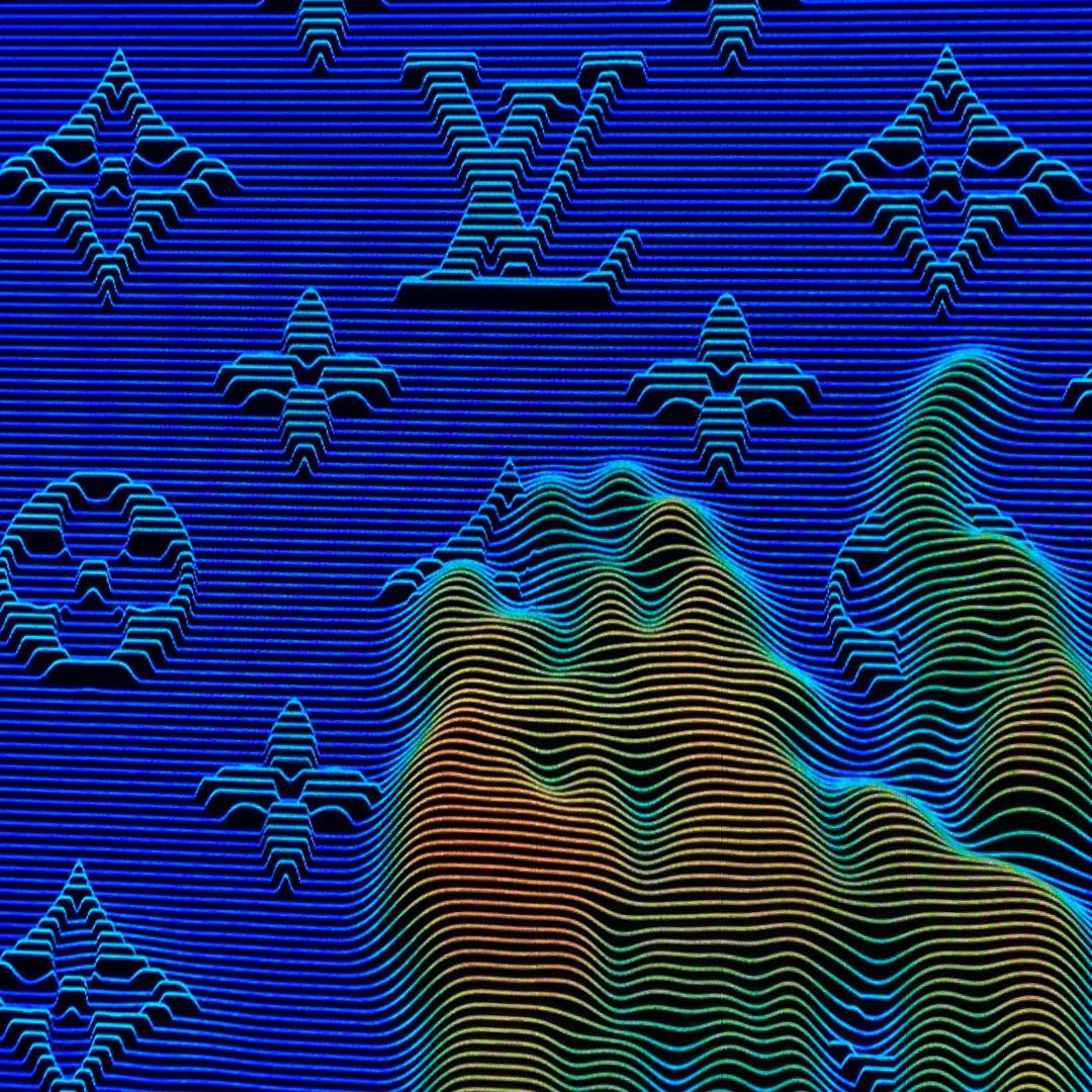1⃣️只绵羊