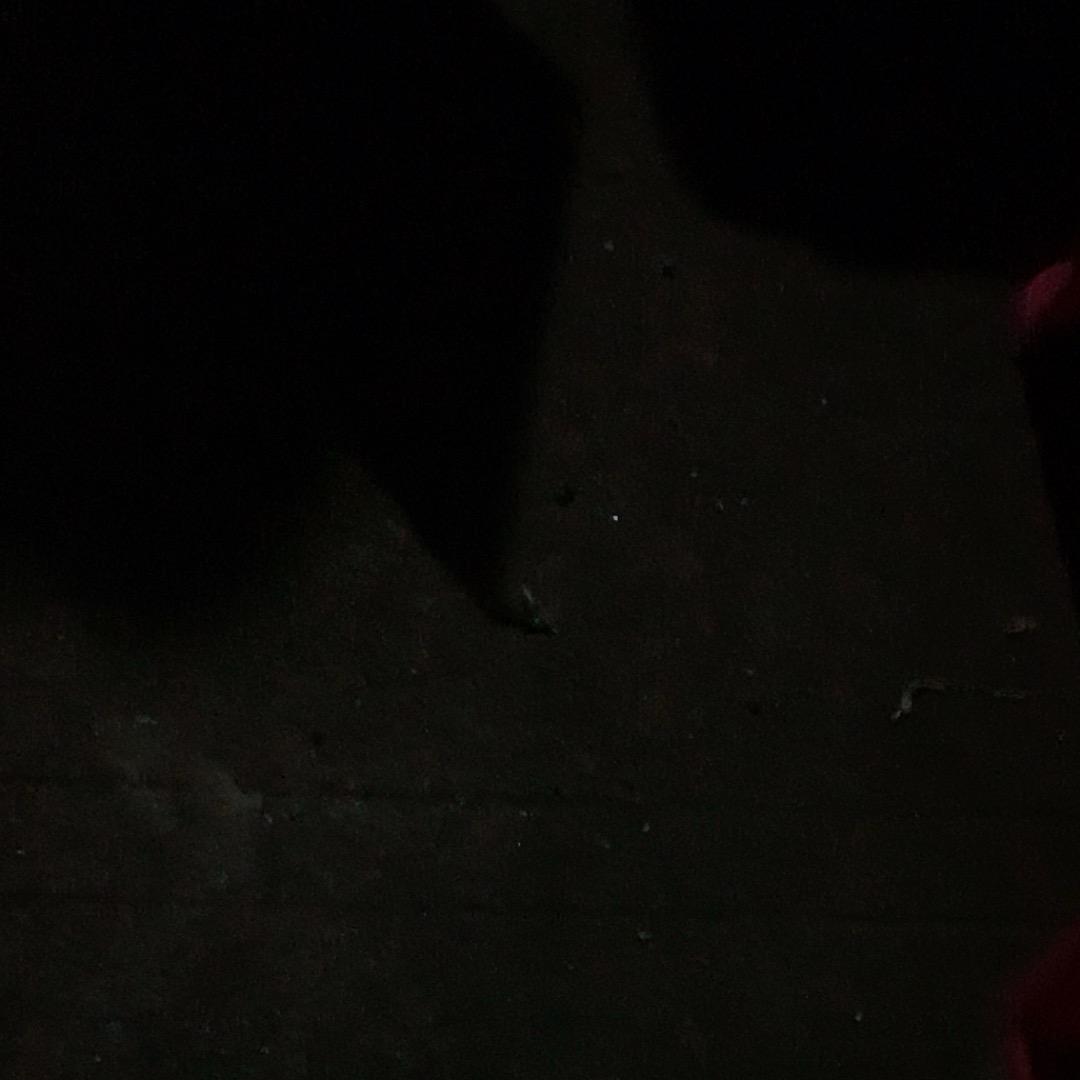 小叔