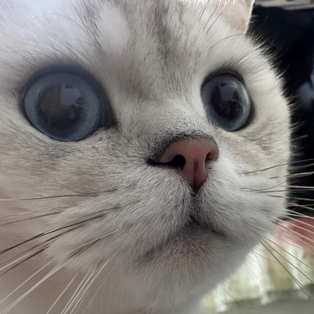 矫情事多666