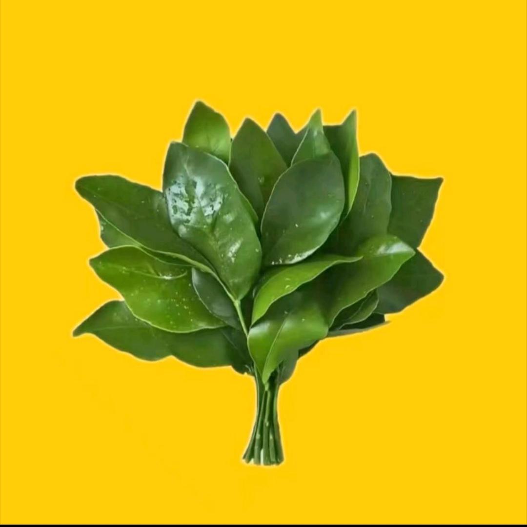 惊艳