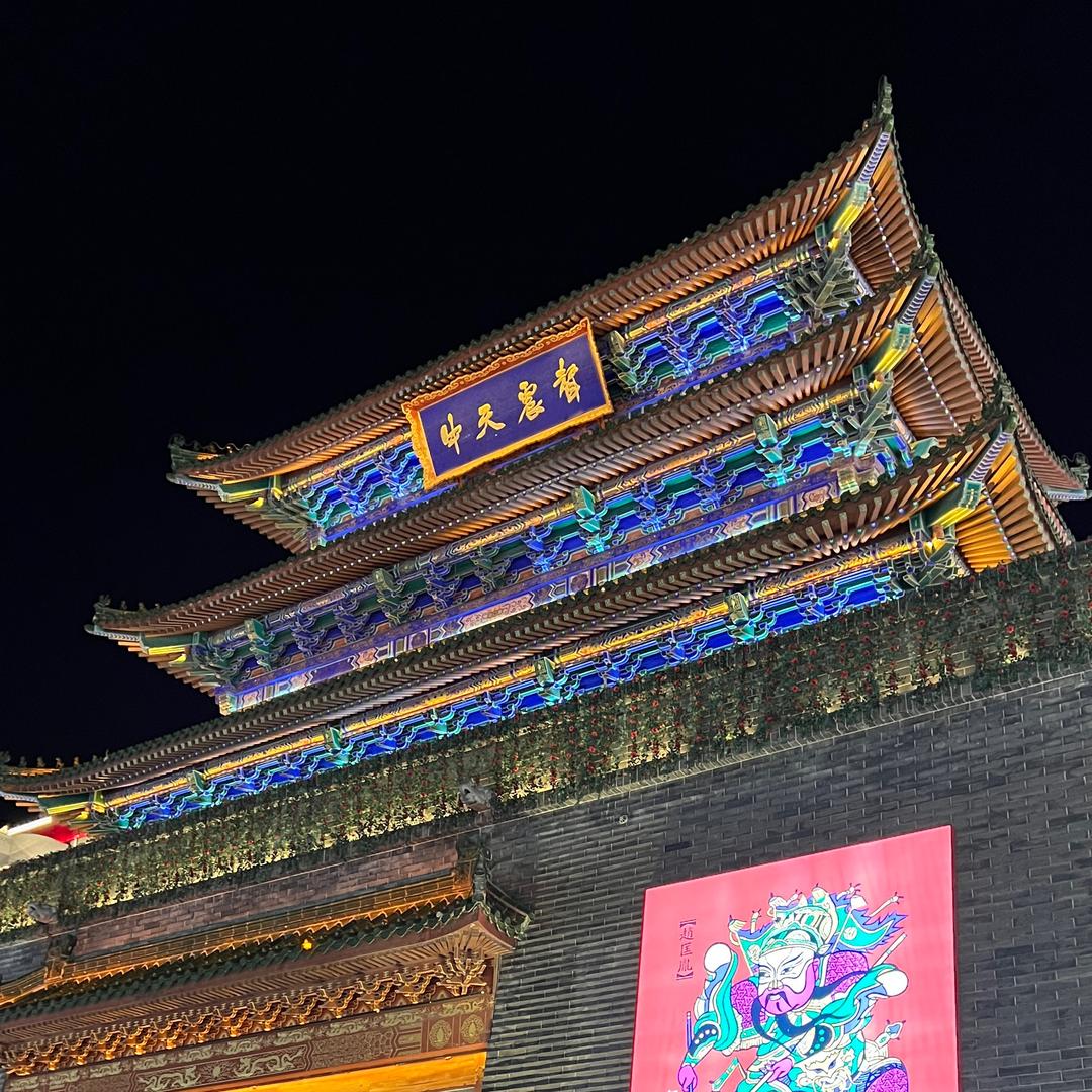 一只大脸猫